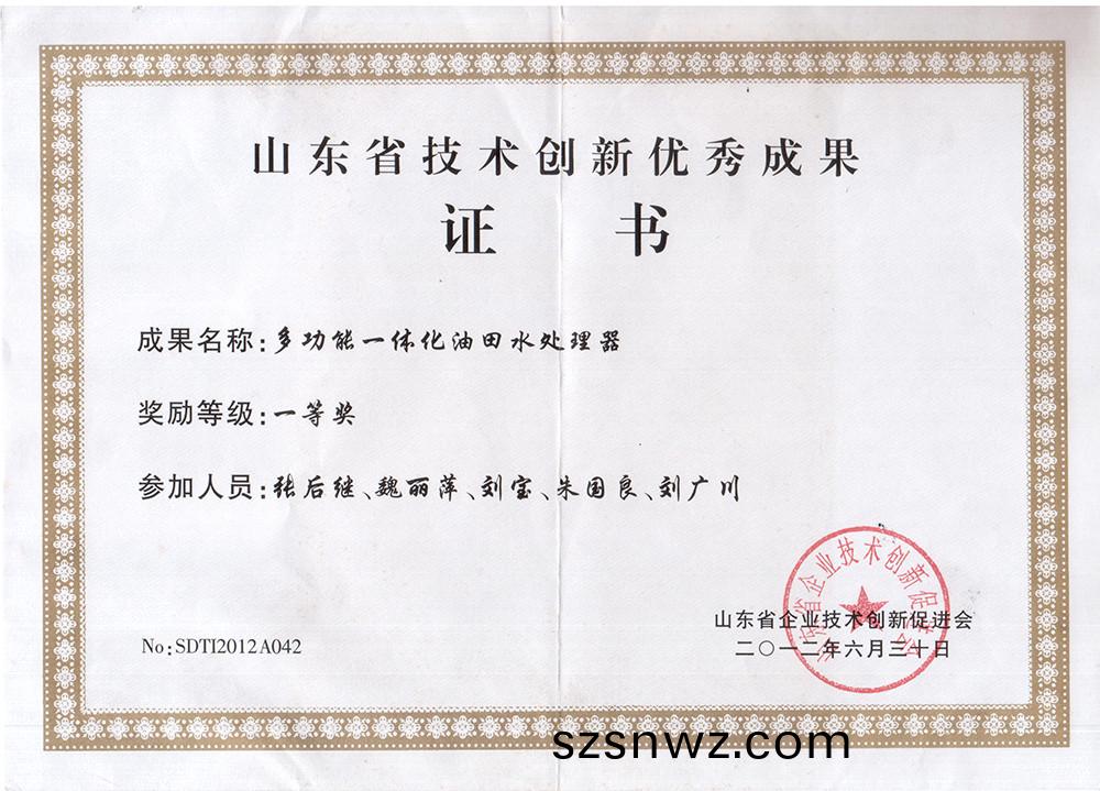 技(ji)術(shu)創新一等(deng)獎.jpg